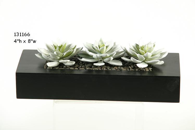 D&W Silks Snow Look Echeveria Succulents In Black Wooden Planter