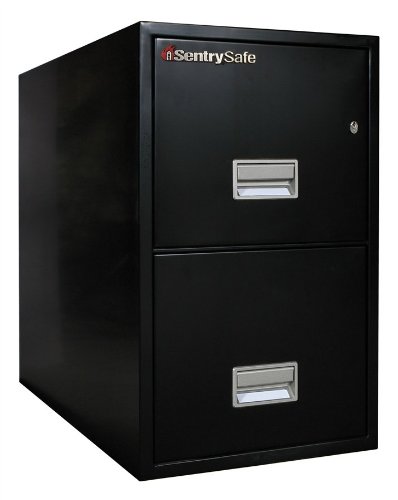 Sentry 2T3100 2 Drawer Letter   Fire Resistant