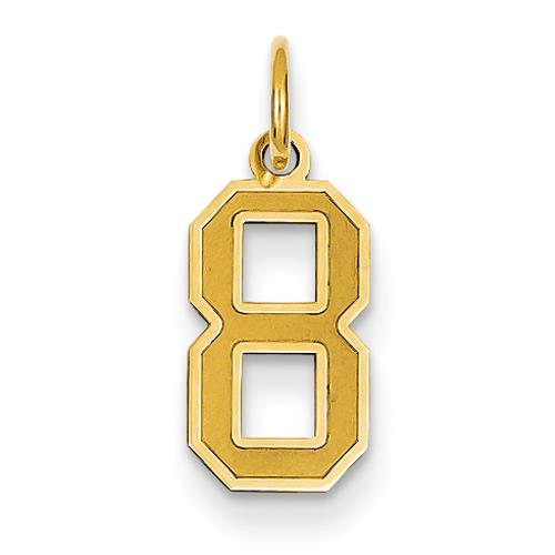 14k Small Satin Number 8 Charm