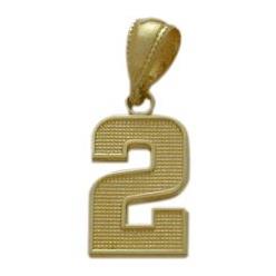 10 Karat Yellow Gold Number 2 Pendant with Chain