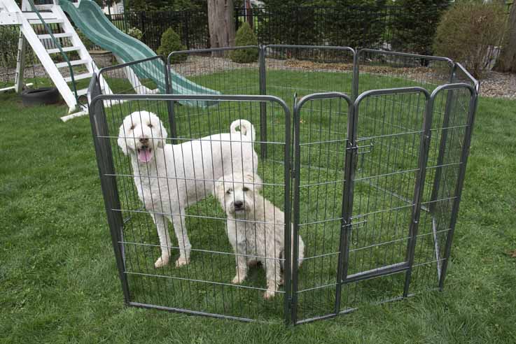Iconic Pet Heavy Duty Metal Tube Pen Pet Exercise and Training Playpen