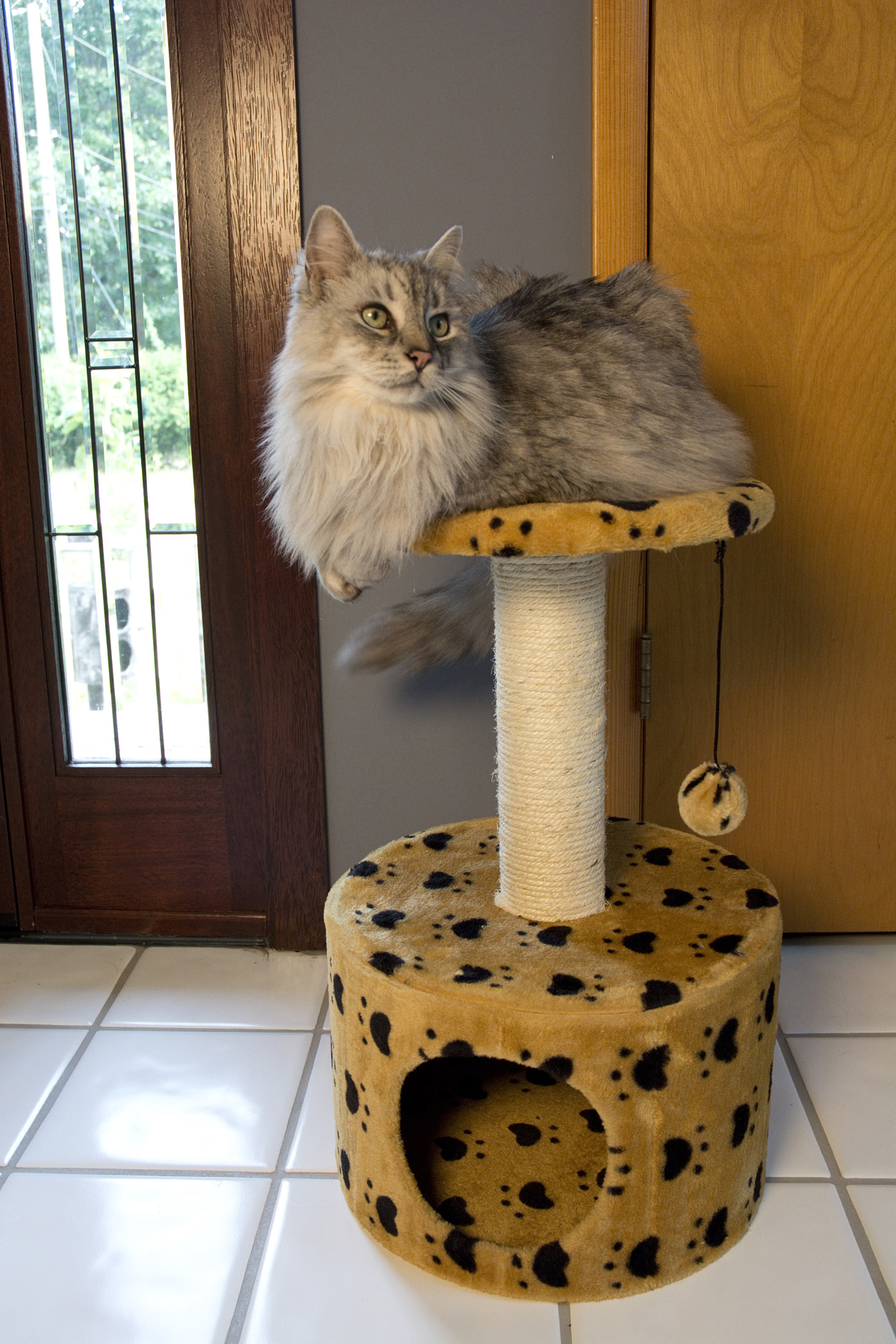 Iconic Pet   Paw Print Sisal Cat Scratching Condo   Beige