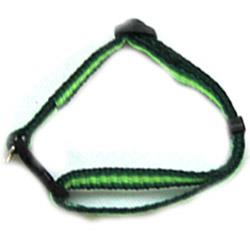 Iconic Pet 91911 Rainbow Adjustable Dog Collar   Green   Medium