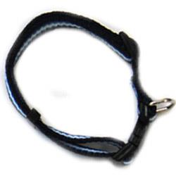Iconic Pet 91912 Rainbow Adjustable Dog Collar   Blue   Medium