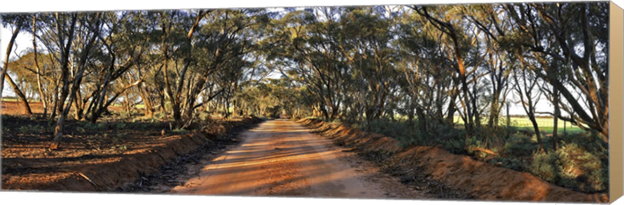 Canny Road by Wayne Bradbury Photography Canvas Art, Size 36 X 12