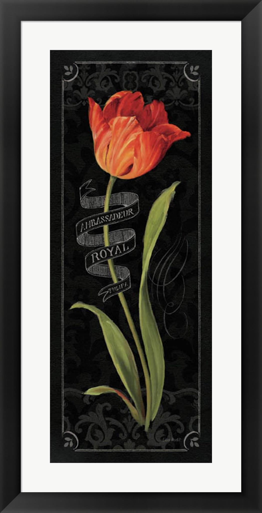 Tulipa Botanica II by Lisa Audit Framed Art, Size 15.5 X 30.5