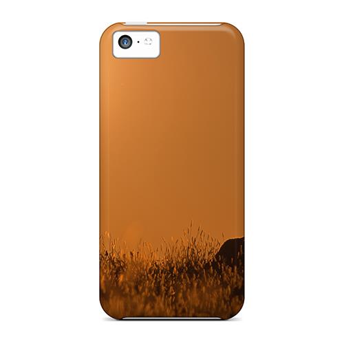 Slim Fit Protector Shock Absorbent Bumper Sheep At The Field Cases For Iphone 5c