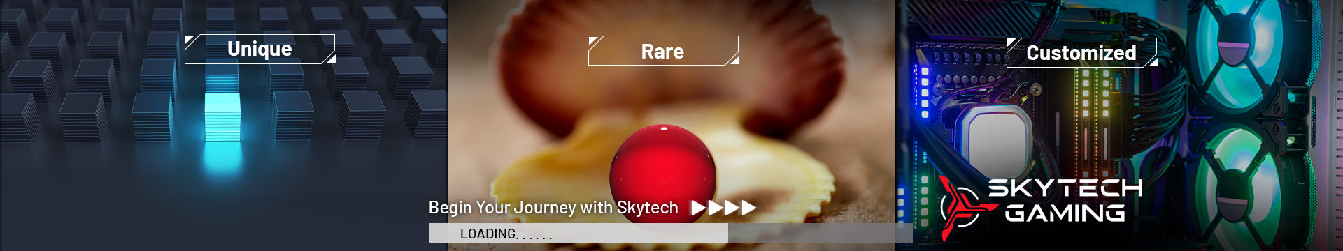 Skytech Banner1