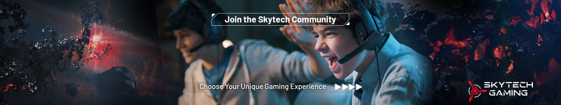 Skytech banner7