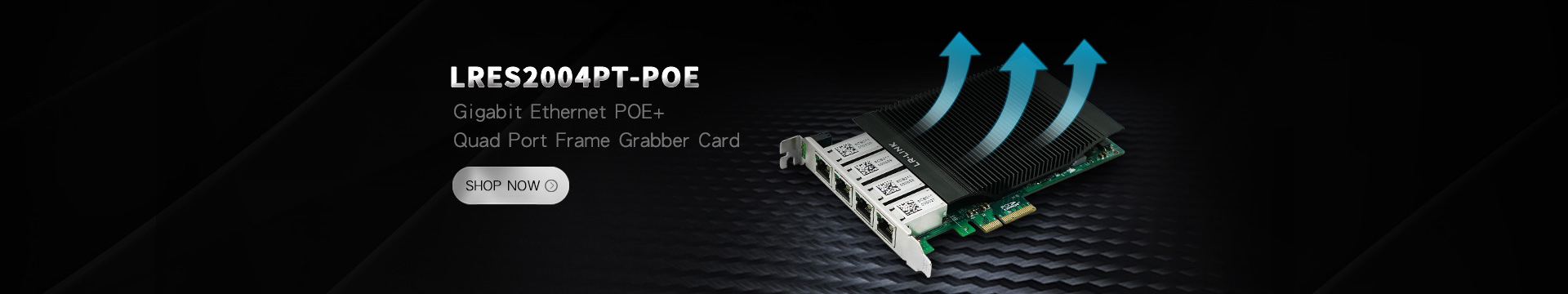 LREC2004PT-POE