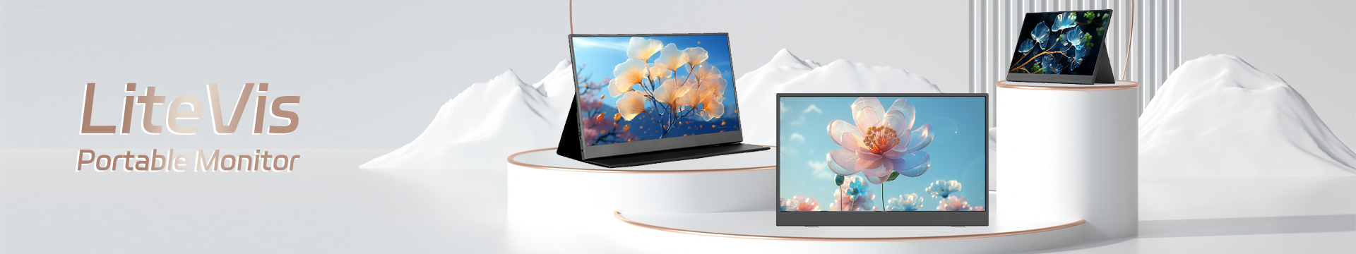 Portable monitor