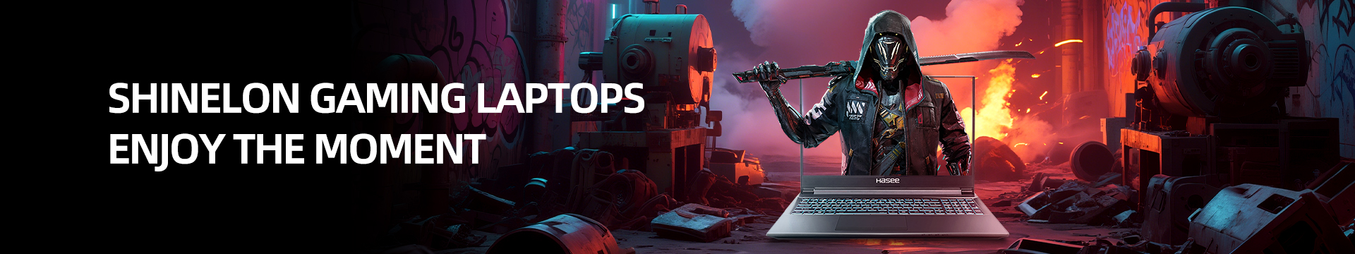 Hasee Gaming Laptops